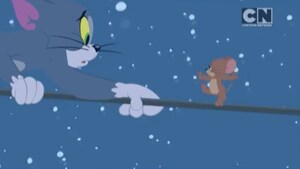 Cat Nippy (Preview) Clip 3